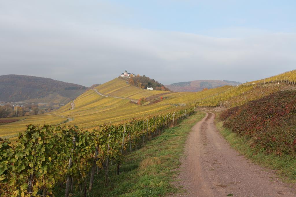 Weingut Pension Gibbert-Pohl Briedel Exterior photo